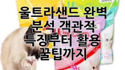 울트라샌드 완벽 분석: 객관적 특징부터 활용 꿀팁까지! 🏖️