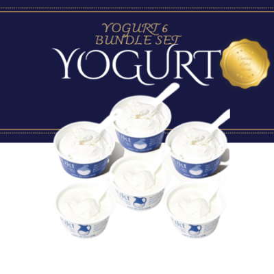 놓치면 후회! 부산 그릭요거트 클래스 후기 & 꿀팁🍯