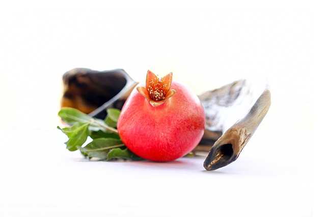 포홈쇼파004.jpg